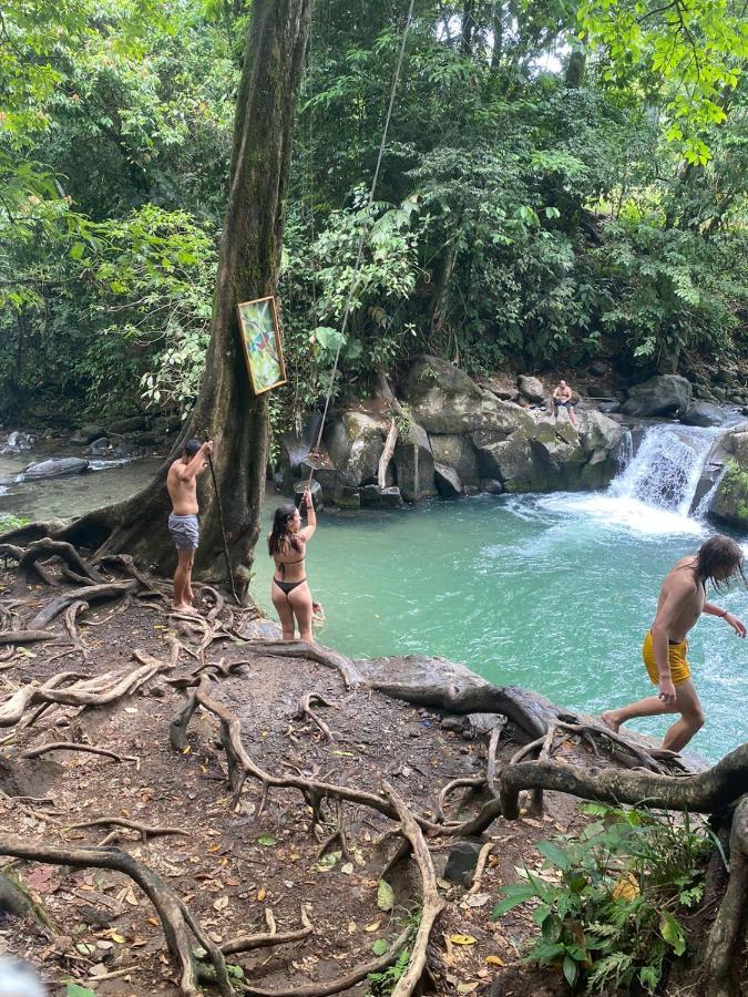 Coati Del Arenal Posada La Fortuna 외부 사진