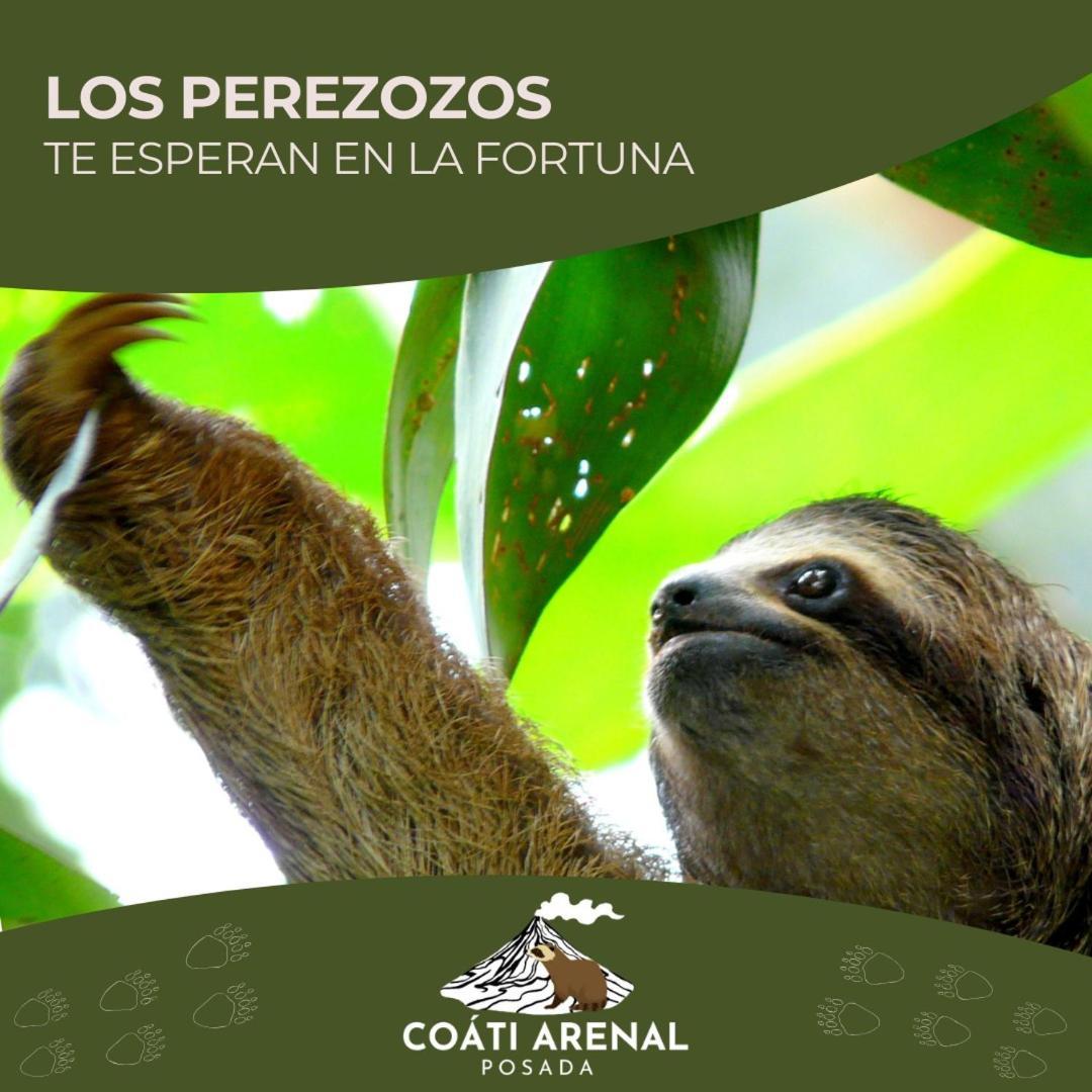 Coati Del Arenal Posada La Fortuna 외부 사진