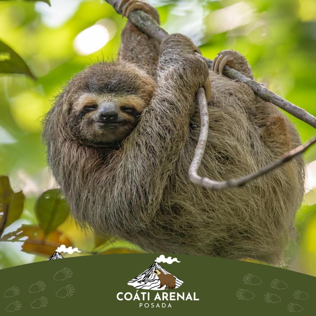 Coati Del Arenal Posada La Fortuna 외부 사진